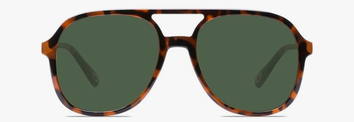 Aviator Assassin Shades