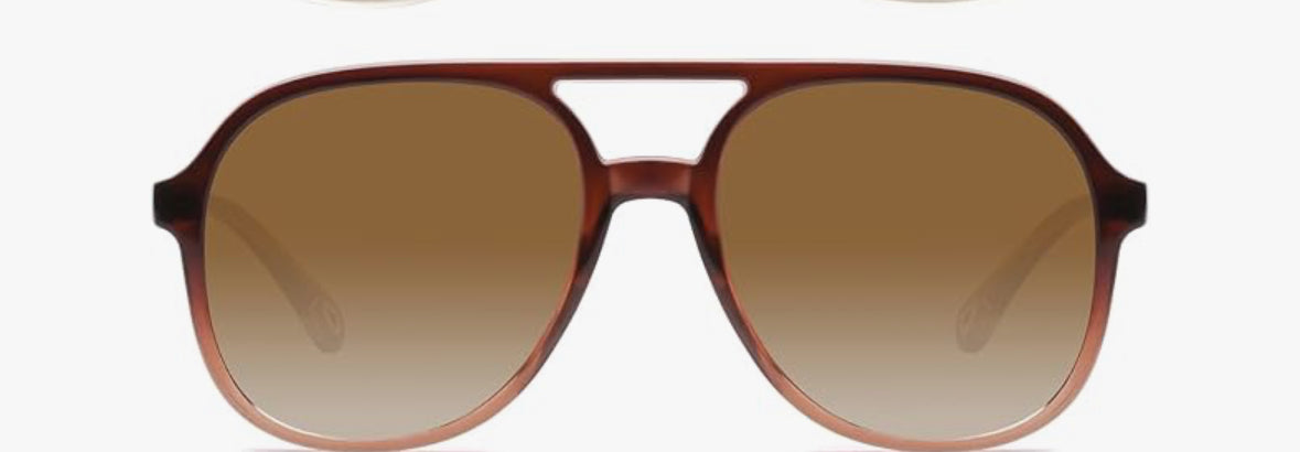 Aviator Assassin Shades